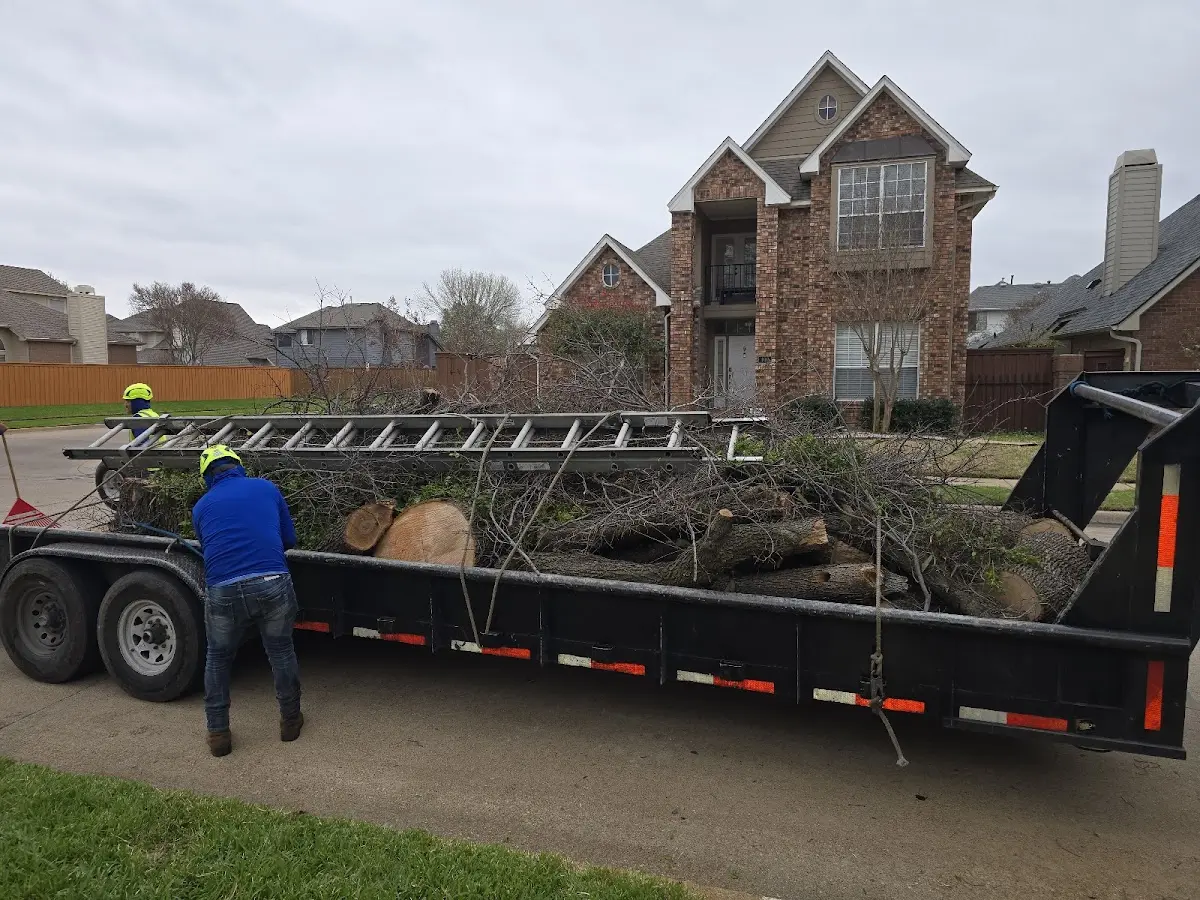 Expert Tree Fertilization with proper safety equipment in Oakland Gardens